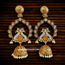 Load image into Gallery viewer, Amrapali Peacock Enamel Brass size earrings