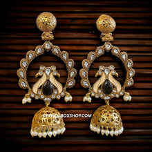 Load image into Gallery viewer, Amrapali Peacock Enamel Brass size earrings