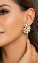 Load image into Gallery viewer, Rakul preet Wing Diamond look Premium Solitaire Stud Earrings
