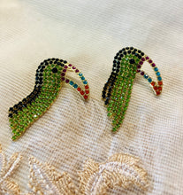 Load image into Gallery viewer, Parrot Stone work Earrings IDW
