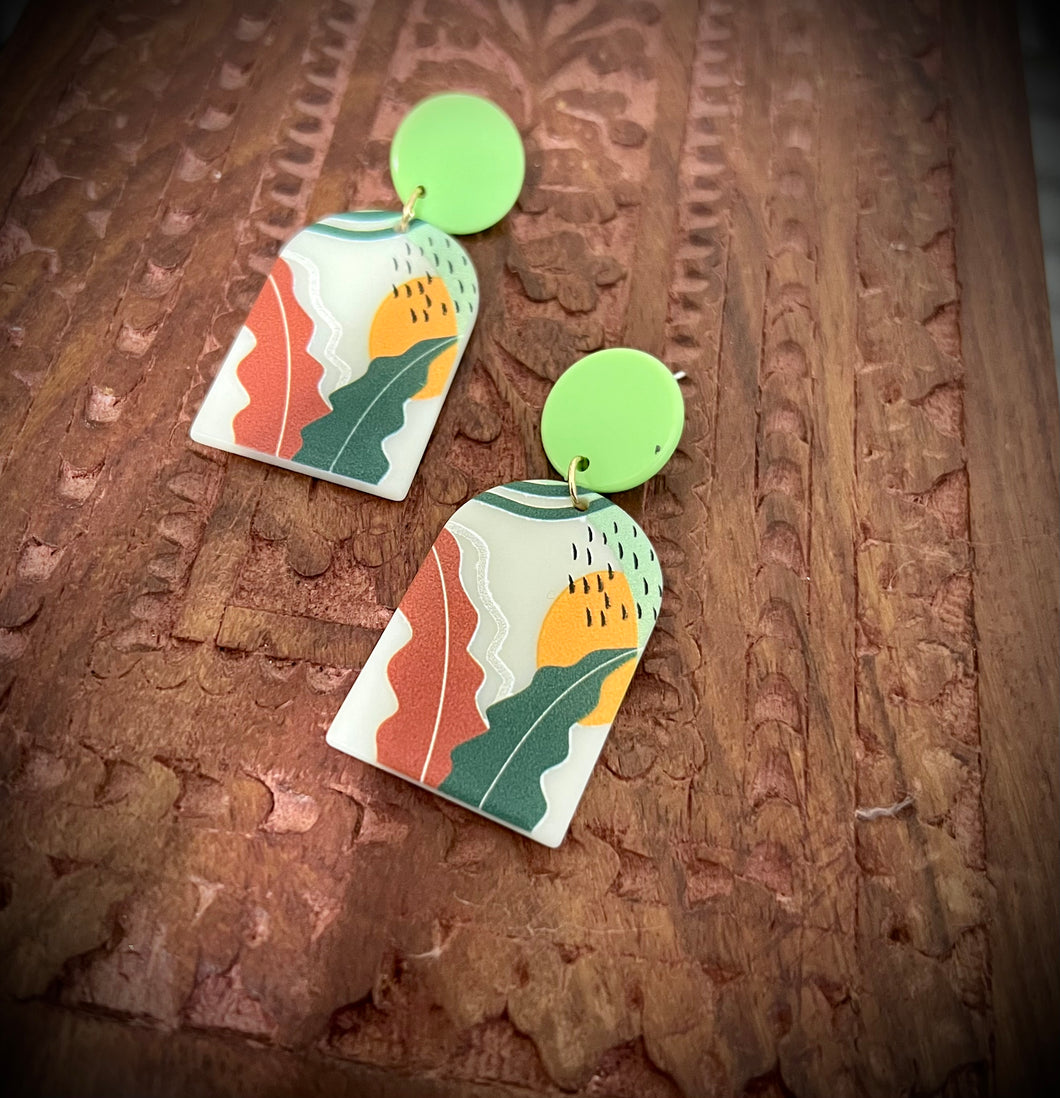 Multicolor Flower Acrylic Earrings IDW