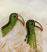 Load image into Gallery viewer, Parrot Stone work Earrings IDW

